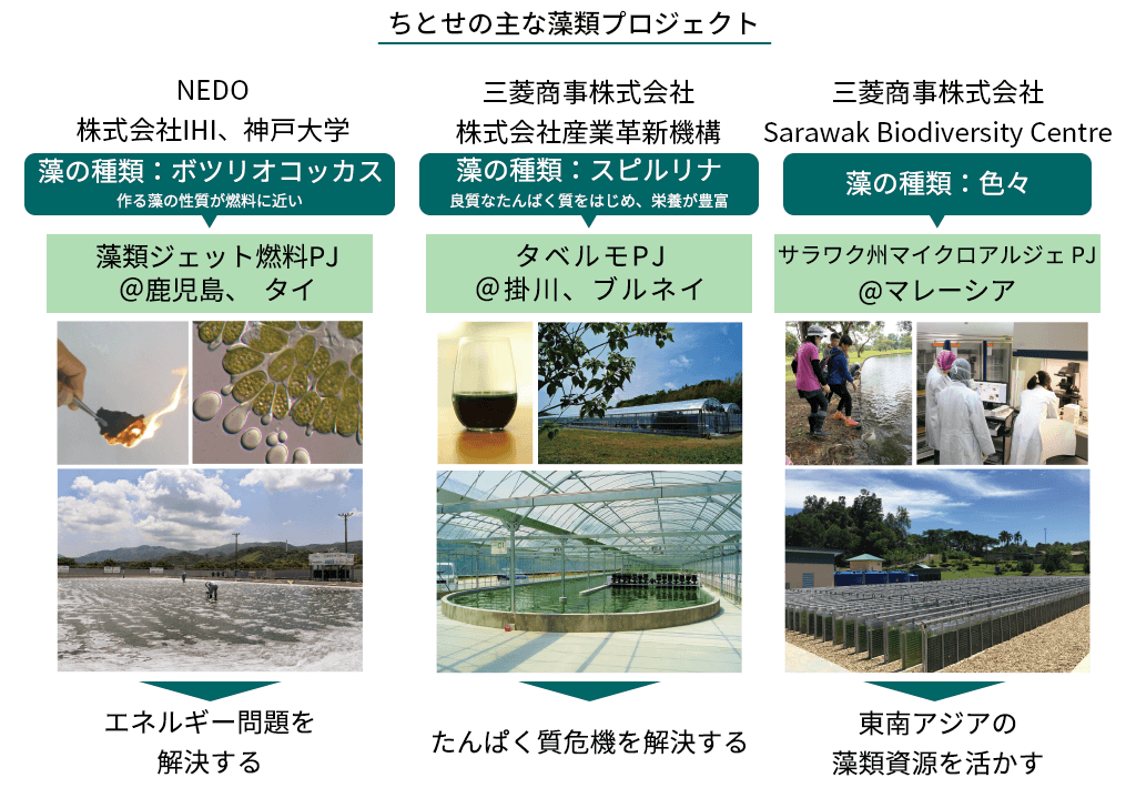 赤道直下で生産可能な培養技術を保有