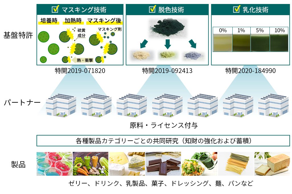 スピルリナの基盤特許、食品加工、製品化