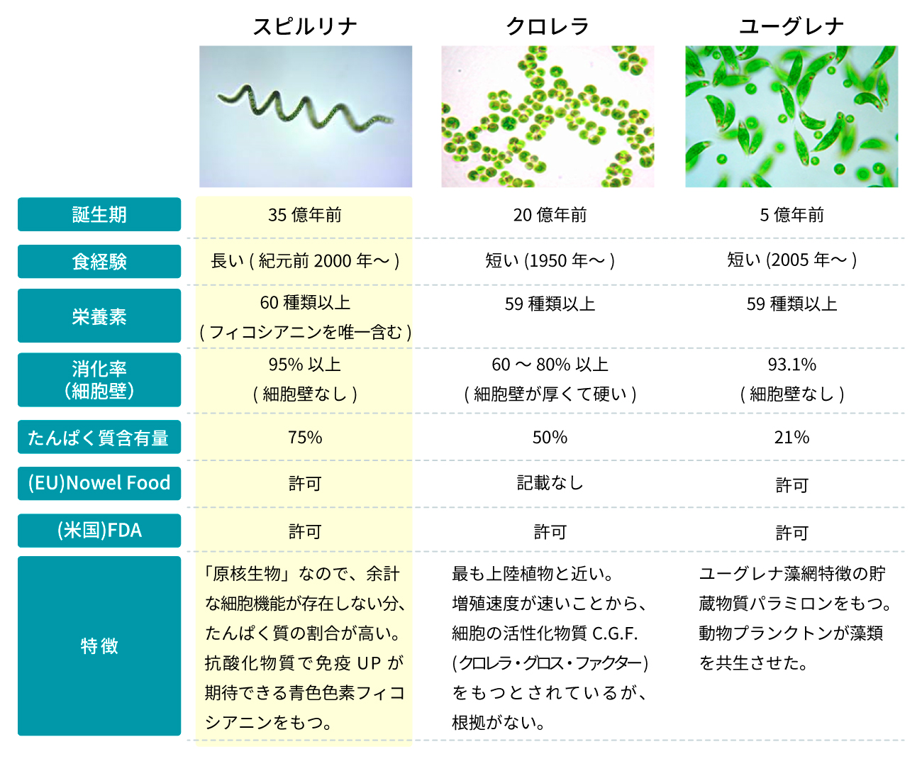 スピルリナの豊富な栄養素