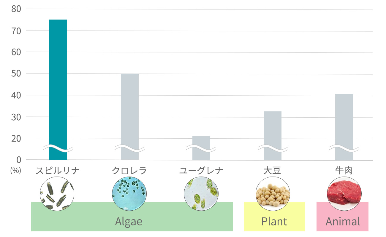 スピルリナの豊富な栄養素