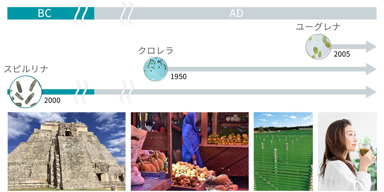 スピルリナの長い食経験